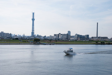 平井大橋から見た建設中の東京スカイツリーのある風景 平成22年