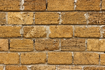 brick from shells Texture background , wall is made of shells brick.