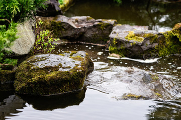 Fototapeta na wymiar Stones covered with moss in a small brook