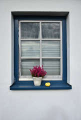 Fensterbank mit pflanze 