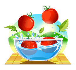Tomatoes clean and confident. Food care for health lovers.
