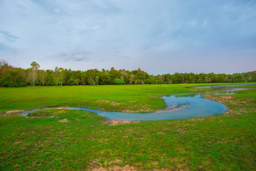 Field, Front or Back Yard, Meadow, Summer, Land