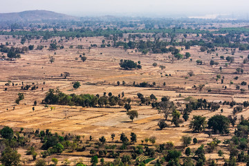 Fototapeta premium Top view or aerial shot from top of a rocky mountain of fresh green and yellow rice fields in sunny day of summer season in rural village of india.