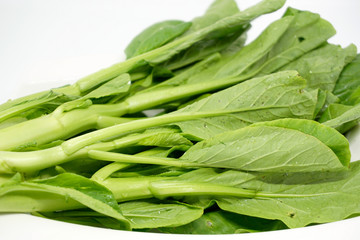 Fresh green mustard leaf over white background