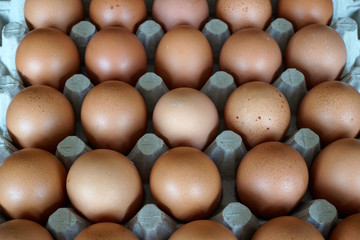 lose up. Raw chicken eggs in carton box as a background. Selective focus.
