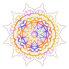 Colored Mandala. Vintage decorative elements. Hand drawn background. vector illustration.