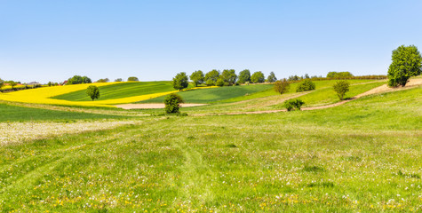 Krajobraz wiejski - łąka i pola rozciągające się po horyzont. Tło natura - łąka i niebo.
