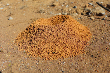 Formigueiro pequeno vazio