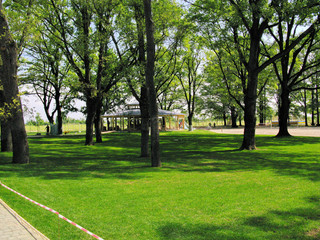 Fototapeta na wymiar Beautiful gazebo in a park with a lawn and tall trees. You can sit, breathe air, drink a soft drink