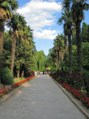 Asphalt alley with edging on the sides of red flowers and high plastics. Above her is a blue sky with white clouds