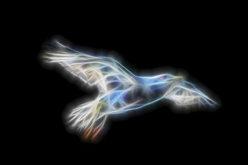 Neon flying Seagull on black background