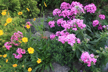 Obraz premium A flower bed with decorative stone boulders and beautiful small pink and orange flowers