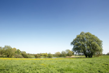 Fototapeta na wymiar landscape of green fields
