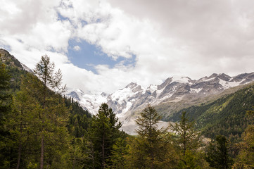 Bernina, Morteratsch, Diavolezza, Gletscher, Val Bernina, Engadin, Alpen, Graubünden, Wanderweg, Sommer, Schweiz