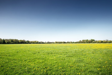 Landschaft mit grünen Feldern