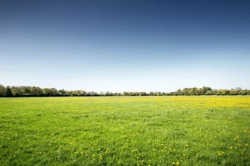 Fotobehang Platteland landschap van groene velden