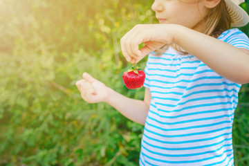 child holds a large strawberry.