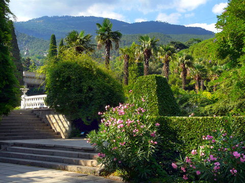 The staircase in the park ennobled with flowers and manicured clipped bushes