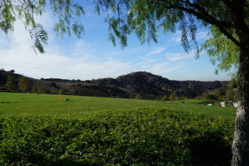 landscape in the mountains