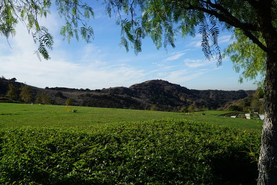 landscape in the mountains