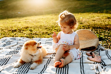 Little girl and pets. The girl and a dog sitting on a green park. Pedigree dogs Spitz. Funny animals. Outdoor picnic.