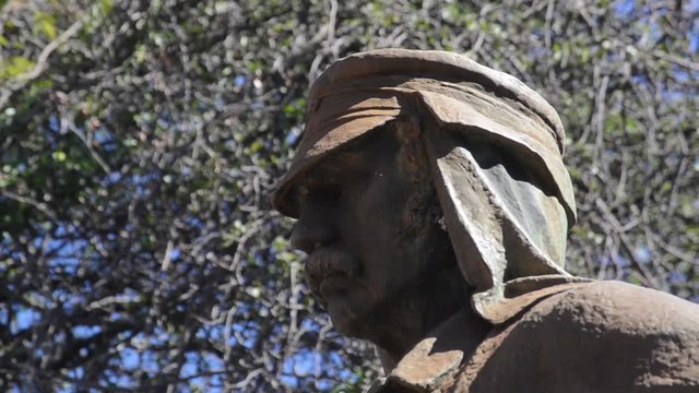 David Livingstone face side close up