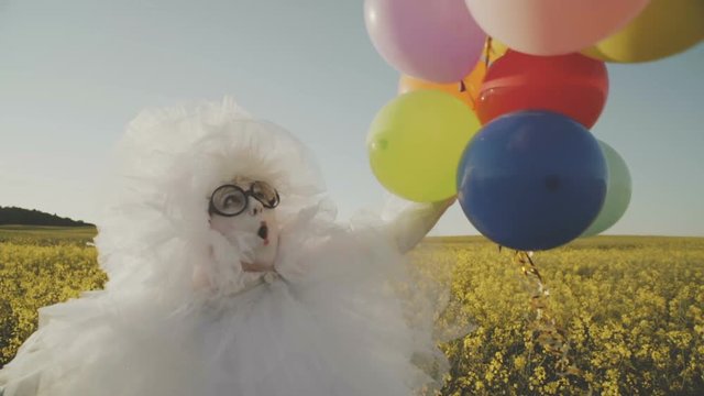 A funny clown mime in a white air suit and with colored balloons is having fun in the field.