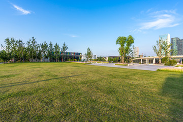 green field under sky