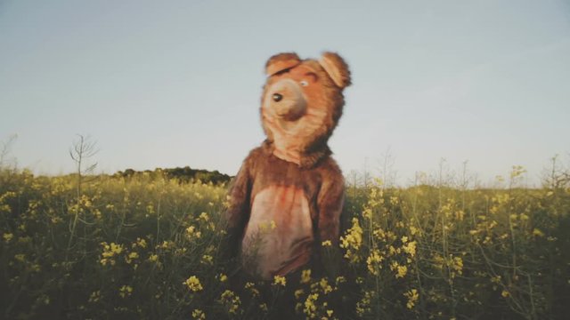 A man in the costume of a funny bear walks the field.