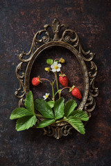 Branch of a strawberry in frame