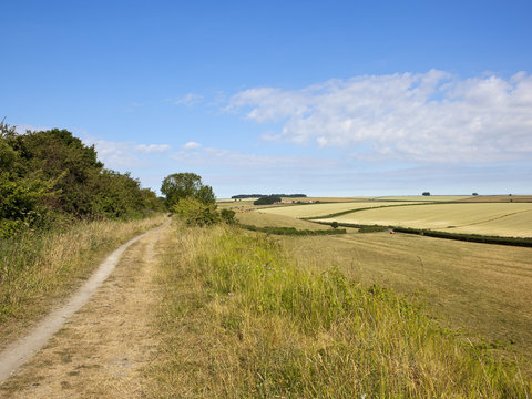 Kiplingcotes nature walks