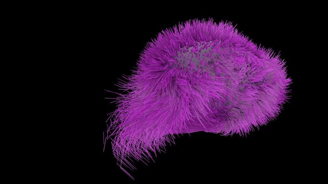 Bacteria cells science 3d