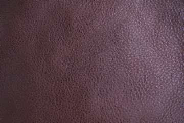 Fototapeta premium Claret red leather texture and background
