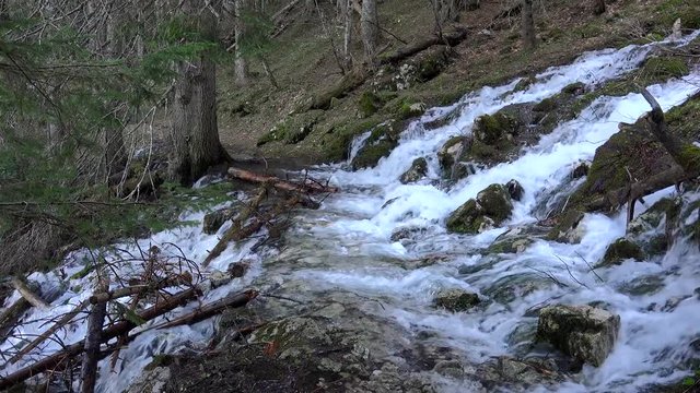 Glacial mountain stream Mlin Creek flows into Black Lake. Zabljak, Montenegro.