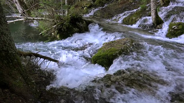 Glacial mountain stream Mlin Creek flows into Black Lake. Zabljak, Montenegro.