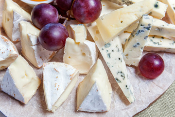 Board with different types of cheese: Dor blu, chedar, Parmesan, brie, honey sauce, finger bread and grape. Restaurant menu plate