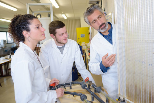 the interns of the factory