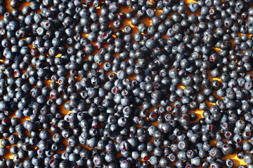 fresh blueberries from wood - background