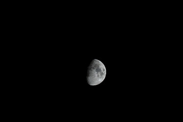 Moon in dark sky, terminator and craters on the bright surface.