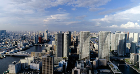 Fototapeta na wymiar tokyo bay in aerial view