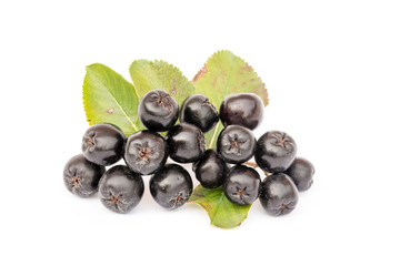 Ripe Chokeberry with leaves isolated on white background. Organic and vegetarian food. Aronia melanocarpa. Closeup, design element.