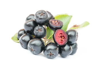 Ripe Chokeberry or Aronia melanocarpa isolated on white background. Cross section.