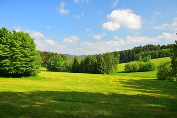 Bavarian landscape with meadows and woods under a blue sky with a few clouds. Upper palatinate, county of Cham, near the village Traitsching.