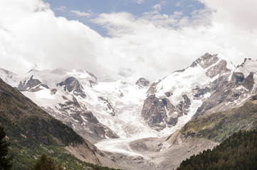 Fototapeta na wymiar Bernina, Morteratsch, Gletscher, Val Bernina, Piz Bernina, Wanderweg, Gletscherweg, Alpen, Engadin, Oberengadin, Graubünden, Sommer, Schweiz