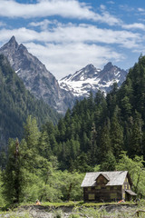 Fototapeta na wymiar Abandoned mountain cabin chalet cottage in pristine wilderness in Washington vertical portrait.