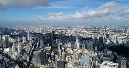 Obraz premium tokyo bay in aerial view