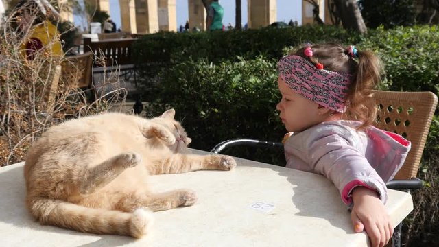 Valletta, Malta - Child girl eat pastry and play with cat lying on street cafe table
