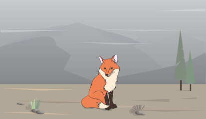 fox on nature background,