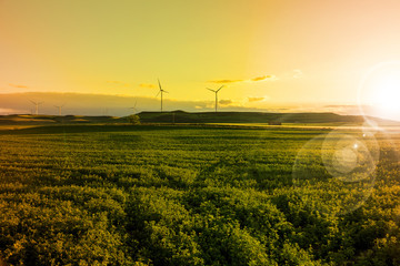 Electric wind turbines and green fields