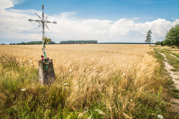 Cross in a field of cereal